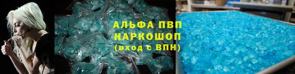 таблы Гусев