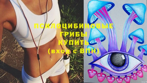 бутират Дмитровск