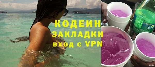 таблы Гусев