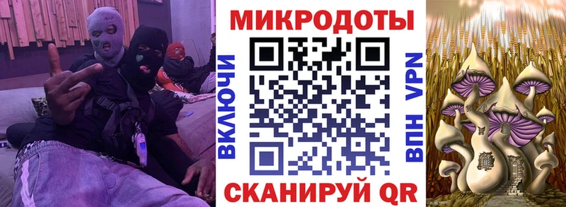 Галлюциногенные грибы прущие грибы  Купить  Ишим 