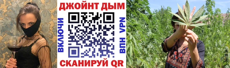 Купить  Ишим  Конопля SATIVA & INDICA 